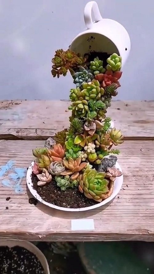 Modern Indoor Succulent Garden Ideas Zugnews