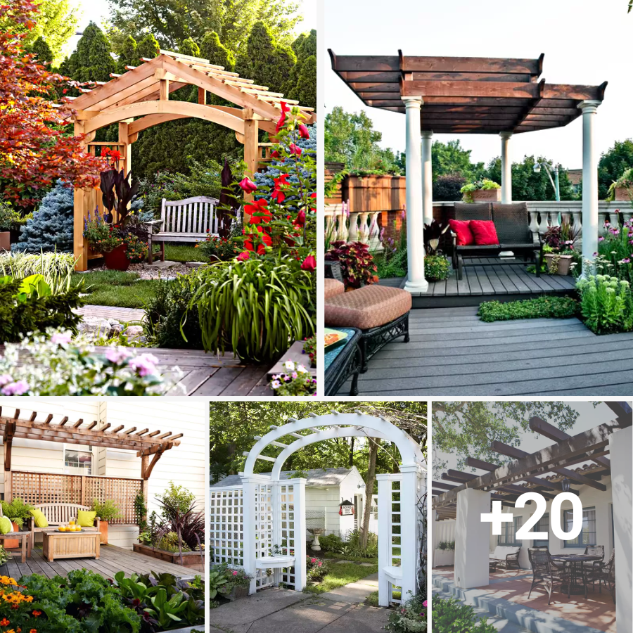 Pretty Pergola Ideas To Update Your Outdoor Space Zugnews