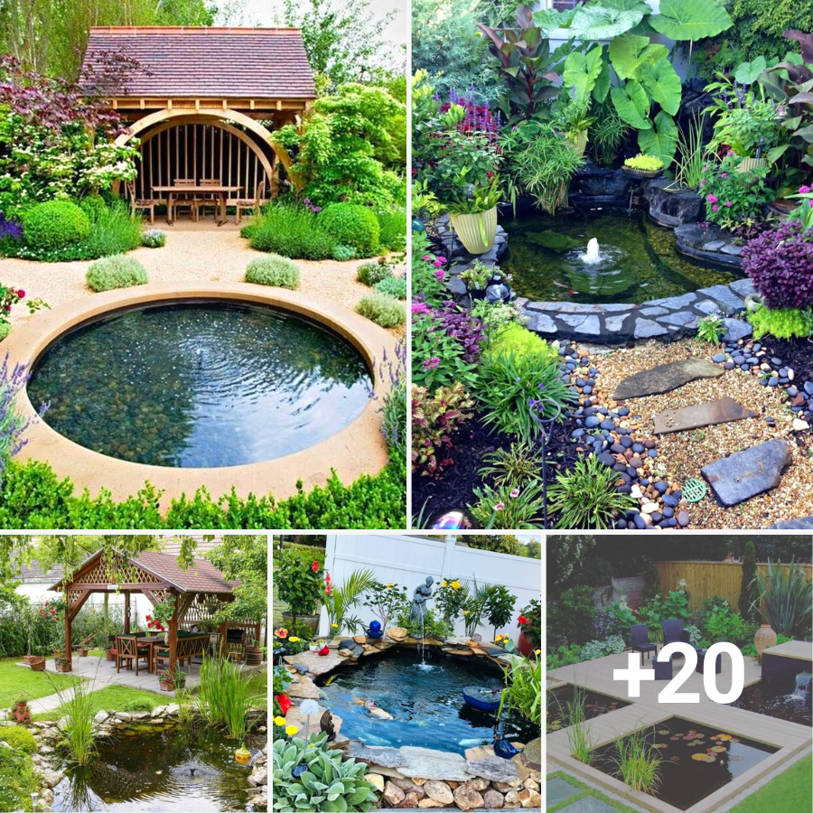 28 Backyard Pond Ideas: Transform Your Space into a Water Oasis - ZUGNEWS