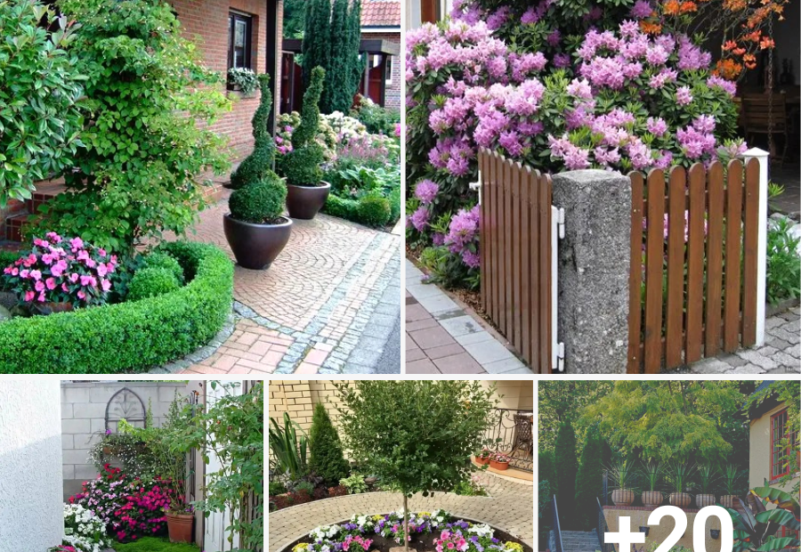 25 Stunning Ornamental Garden Ideas to Enhance Your Home - ZUGNEWS