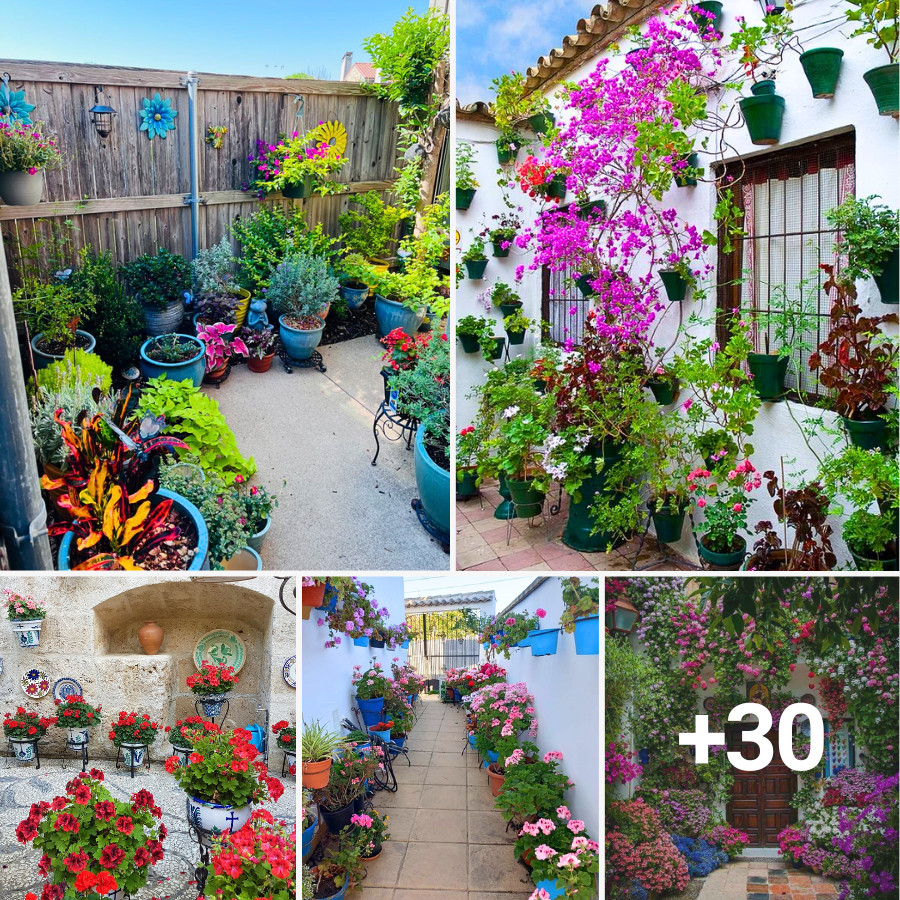 33 Flower Pot Garden Ideas That You Should Try - ZUGNEWS