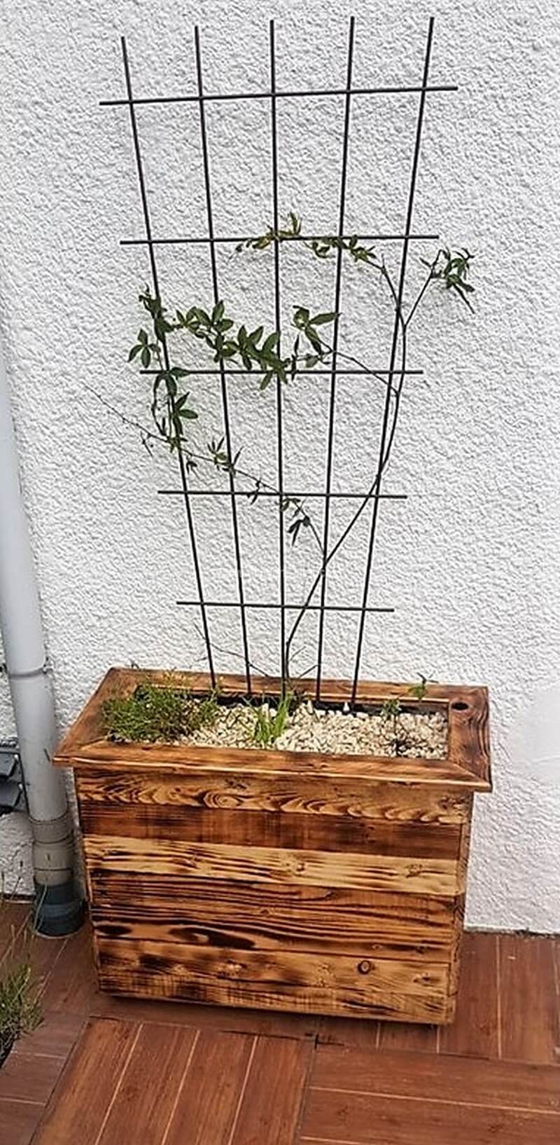 pallet trellis planter