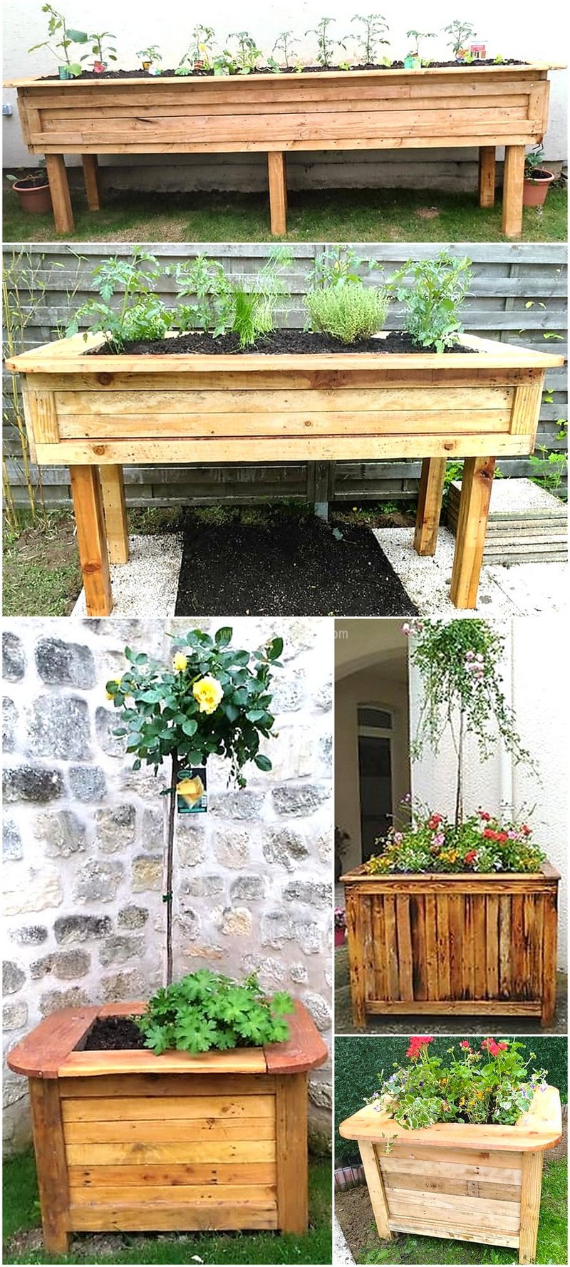 wood pallet planters