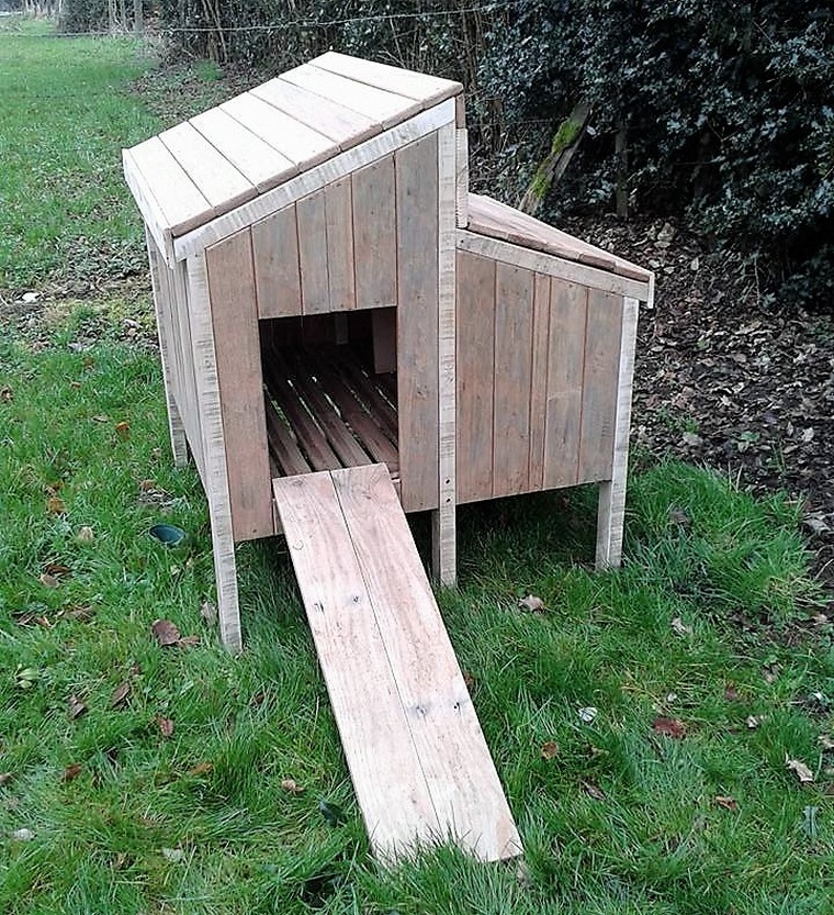 wood pallet chicken house
